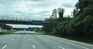 IMG_7901
