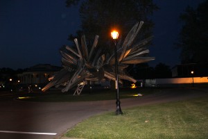 IMG_8502